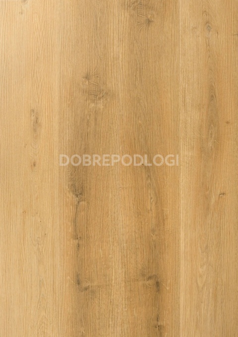 Panel mineralny SPC - Dąb Pasieczny (2,38m2 w kartonie - PODANA CENA ZA M2)