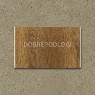 Próbka Dąb Stary